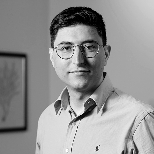 Radu Trandafir Acționar FROO Romania Holding SA