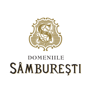 Imagine logo Samburesti